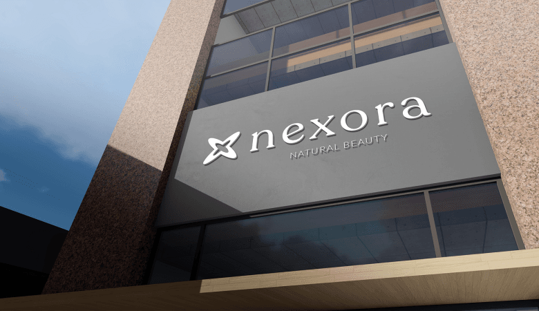 How Nexora Labs Enhanced Global Client Support and Reduced Response Time with Top Virtual Assistants