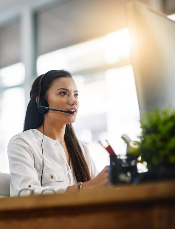 Virtual Assistant